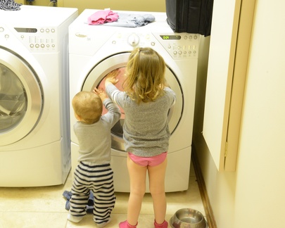 Fascinated with the dryer1